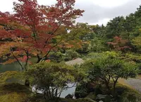 清水園【紅葉の名所】の写真・動画_image_165964