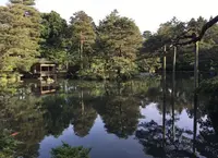 清水園【紅葉の名所】の写真・動画_image_165975