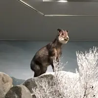 MieMu 三重県総合博物館の写真・動画_image_165980