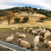 伊香保グリーン牧場の写真・動画_image_166034