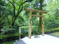 平泉寺白山神社の写真・動画_image_166209