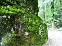 平泉寺白山神社の写真・動画_image_166211