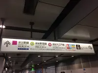 高尾山の写真・動画_image_166434