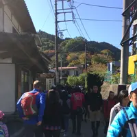 高尾山の写真・動画_image_166456