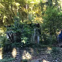 高尾山の写真・動画_image_166466