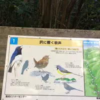 高尾山の写真・動画_image_166470