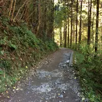 高尾山の写真・動画_image_166471