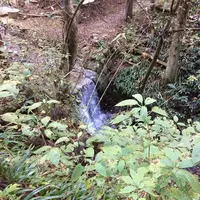 高尾山の写真・動画_image_166472