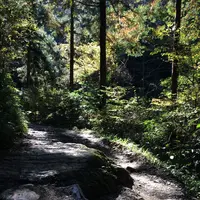 高尾山の写真・動画_image_166473