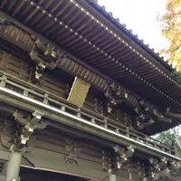 高尾山の写真・動画_image_166479