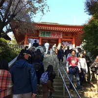 高尾山の写真・動画_image_166488