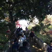 高尾山の写真・動画_image_166492