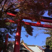 高尾山の写真・動画_image_166493