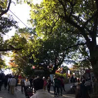 高尾山の写真・動画_image_166498