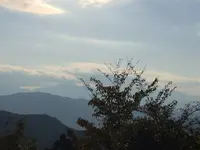 高尾山の写真・動画_image_166522