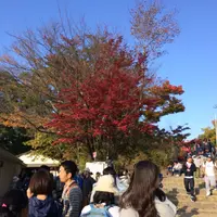 高尾山の写真・動画_image_166523