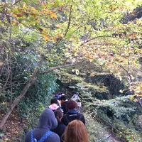 高尾山の写真・動画_image_166524