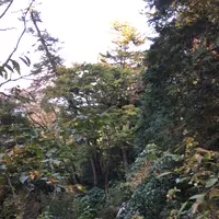 高尾山の写真・動画_image_166525