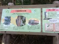 高尾山の写真・動画_image_166526