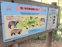 高尾山の写真・動画_image_166527