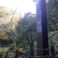 高尾山の写真・動画_image_166528