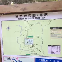 高尾山の写真・動画_image_166530