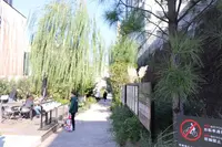ログロード代官山の写真・動画_image_166538