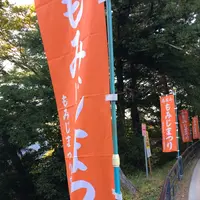 高尾山の写真・動画_image_166541