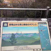 高尾山の写真・動画_image_166557