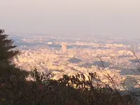 高尾山の写真・動画_image_166559