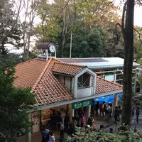 高尾山の写真・動画_image_166560