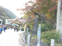 高尾山の写真・動画_image_166564