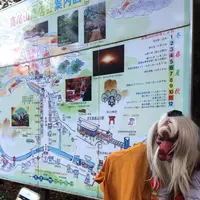 高尾山の写真・動画_image_166565