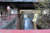 目黒川の写真・動画_image_166672