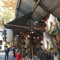 須賀神社の写真・動画_image_166864