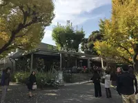 シェイクシャック 外苑いちょう並木店 （SHAKE SHACK）の写真・動画_image_167162