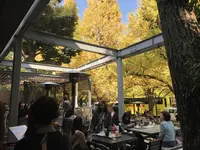 シェイクシャック 外苑いちょう並木店 （SHAKE SHACK）の写真・動画_image_167163