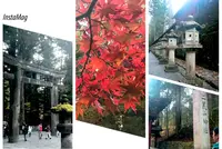 日光東照宮の写真・動画_image_167189