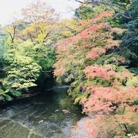 袋田の滝の写真・動画_image_167240