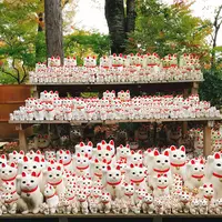 豪徳寺の写真・動画_image_167266