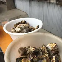 大福丸の写真・動画_image_167307