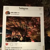 月の石もみじ公園の写真・動画_image_167470