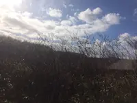 エナの写真・動画_image_167536