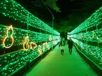 養老の滝の写真・動画_image_167591