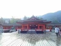 豊国神社（千畳閣）の写真・動画_image_167630