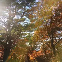 伊香保ロープウェイの写真・動画_image_167795