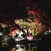 河鹿橋の写真・動画_image_167827