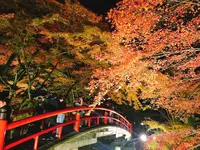 河鹿橋の写真・動画_image_167830