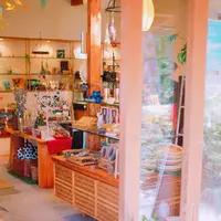 茶のこの写真・動画_image_167896