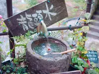 紅葉橋の写真・動画_image_167991